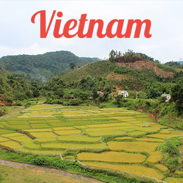 Travel Guides: Vietnam