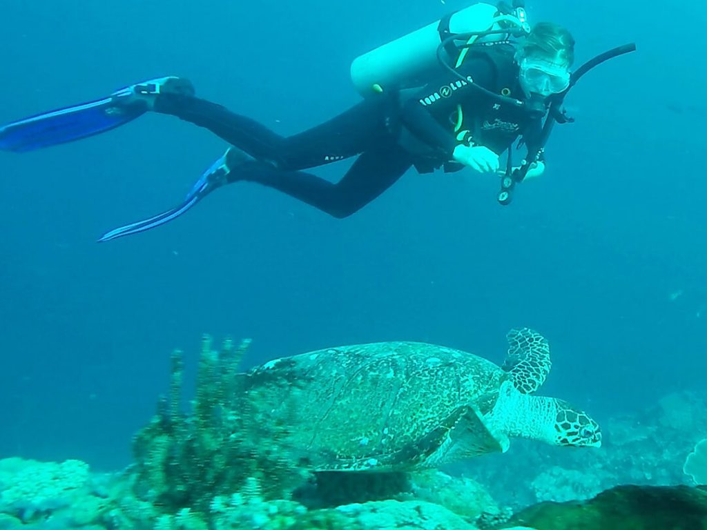 Diving with Turtles in Bali | Where to go Diving in Bali