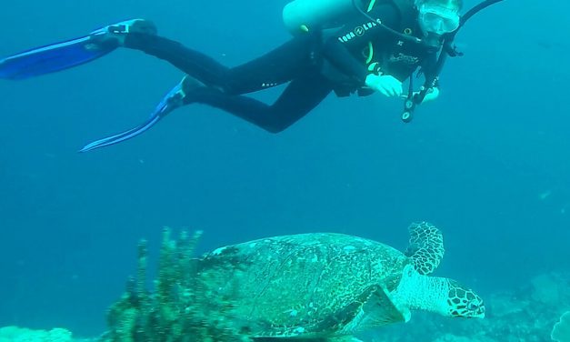 Where to go Scuba Diving and Snorkeling in Bali