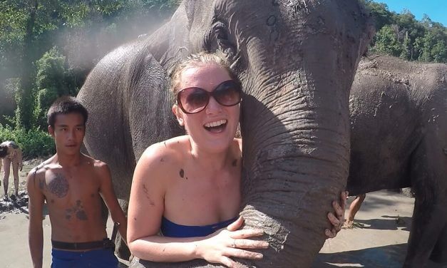 Why you should choose an Ethical Elephant Sanctuary with No Riding