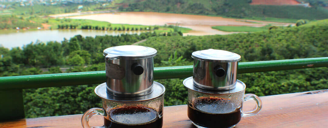 Dalat Coffee Plantation